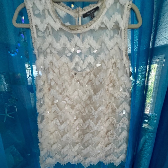 Anthropologie BLUE TASSEL Ivory semi sheer ab sequined top with camisole. Medium - Picture 3 of 5